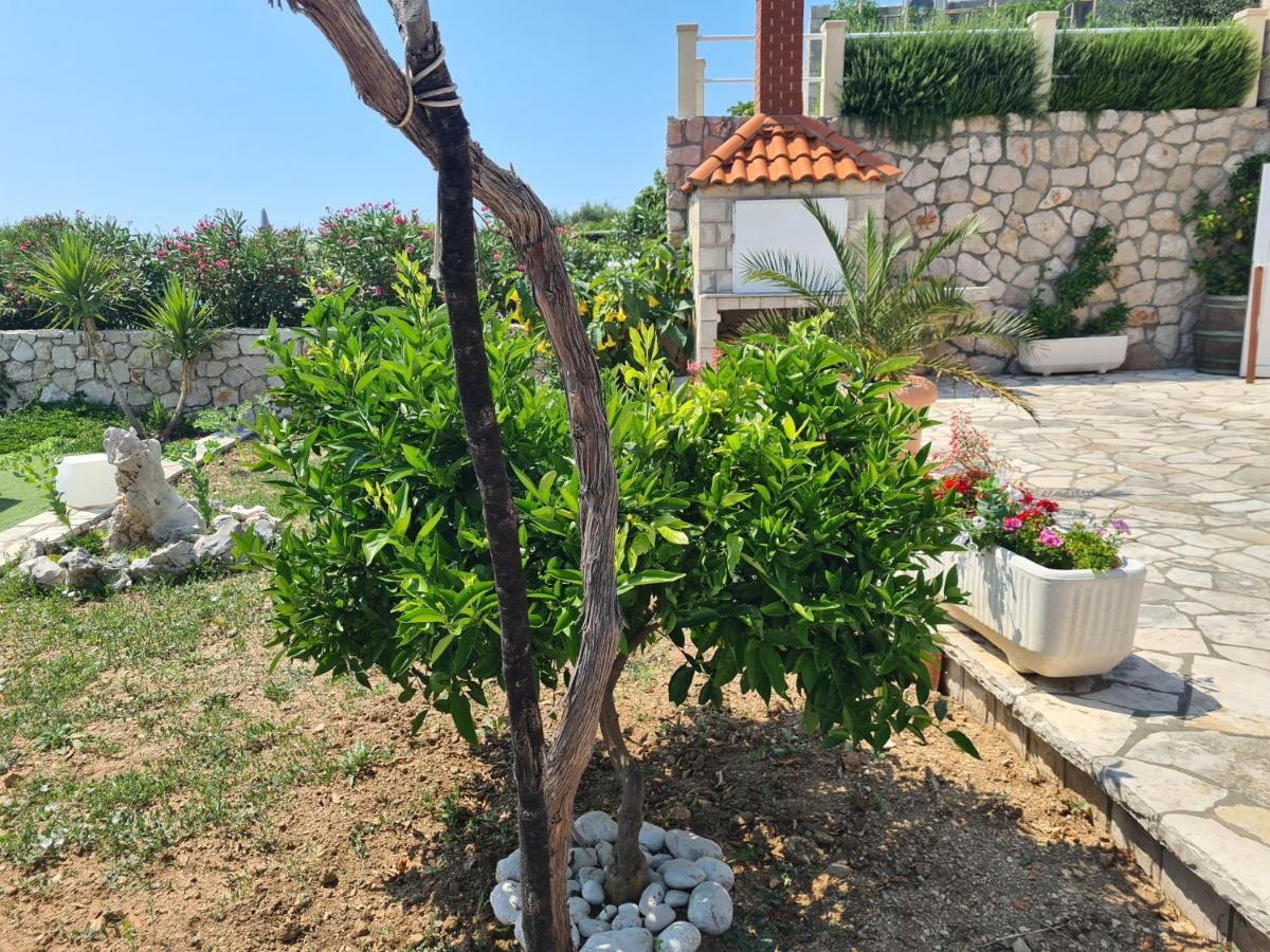 Villa Sea Oasis Ratac Slano Dış mekan fotoğraf